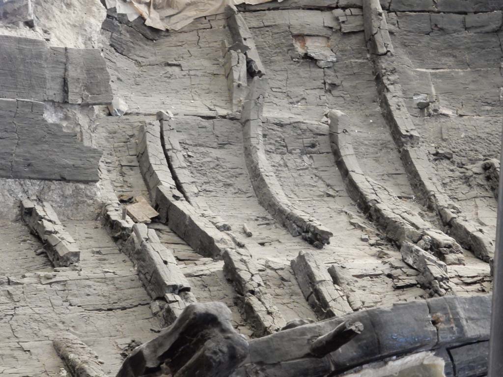 Herculaneum, June 2019. Detail. Photo courtesy of Buzz Ferebee.